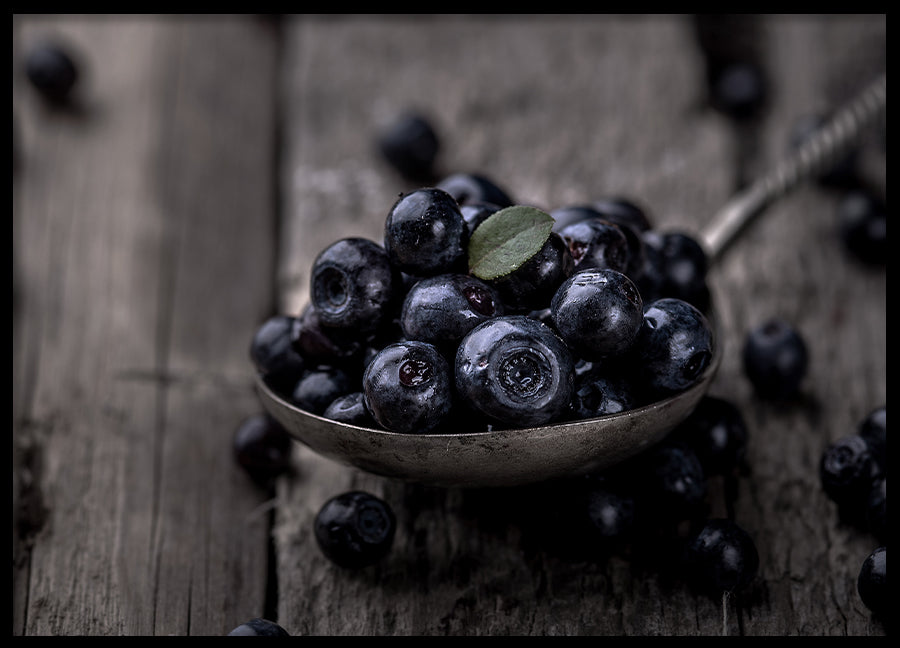 Poster - Blueberries
