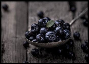 Poster - Blueberries