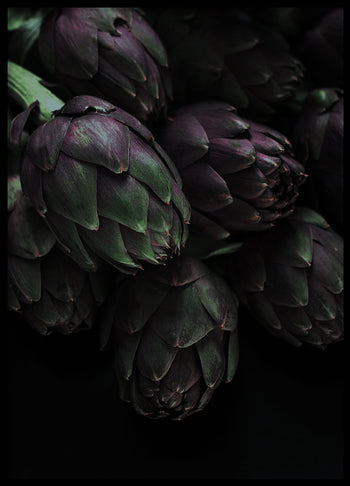 Poster - Artichokes