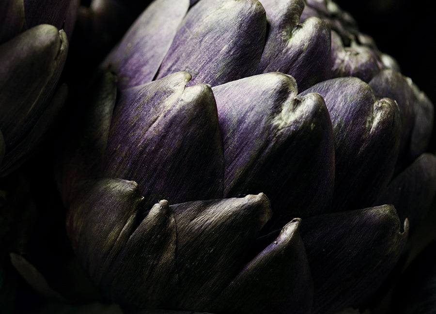 Poster - Artichoke