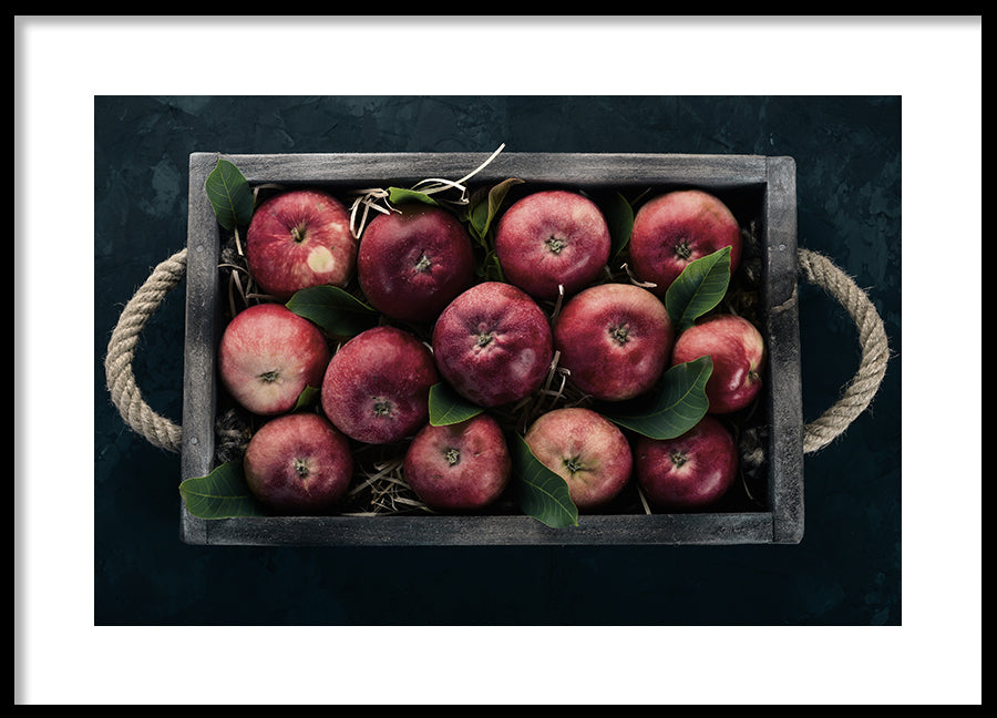 Poster - Fresh red apples