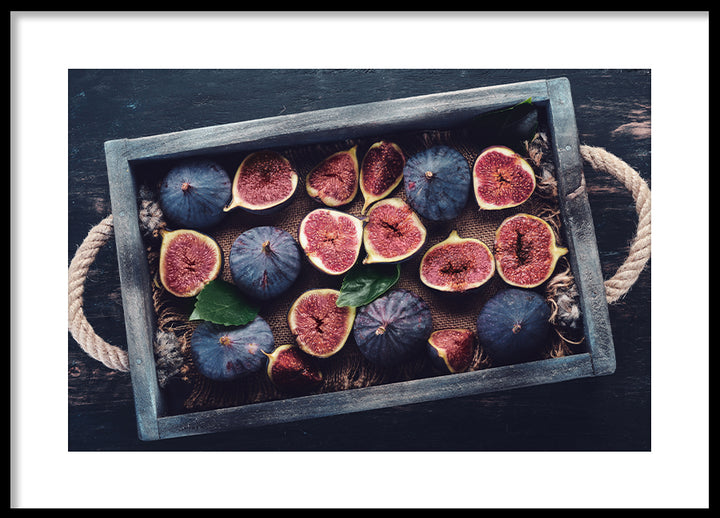 Poster - Blue Fig