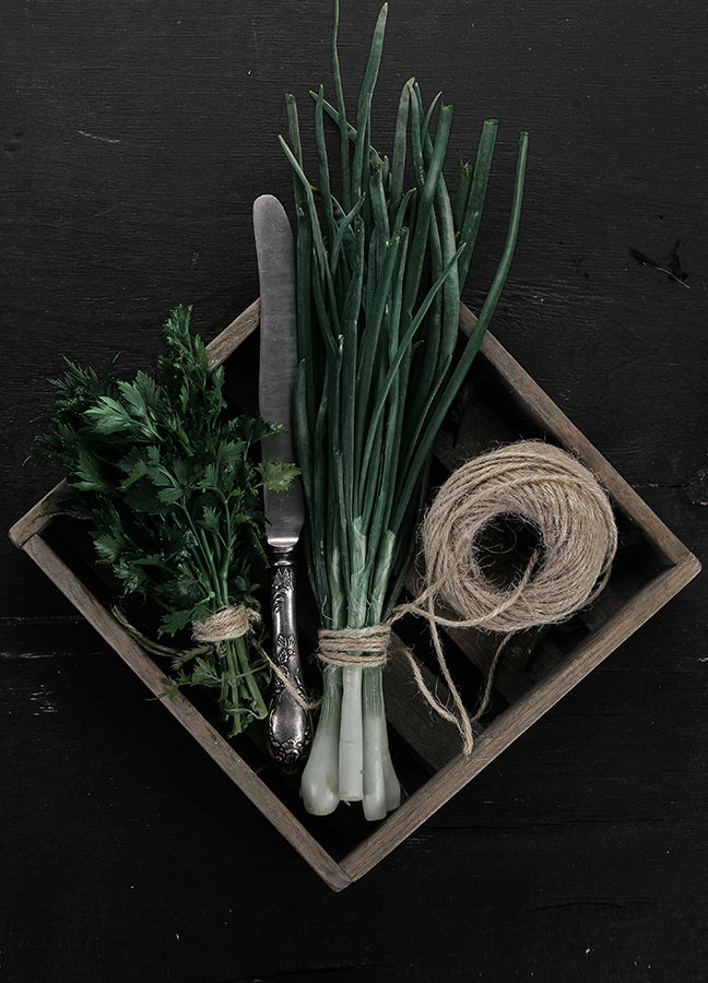Poster - Onion