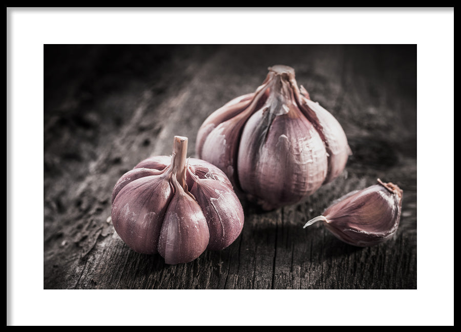 Poster - Garlic