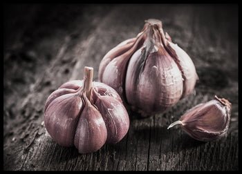 Poster - Garlic