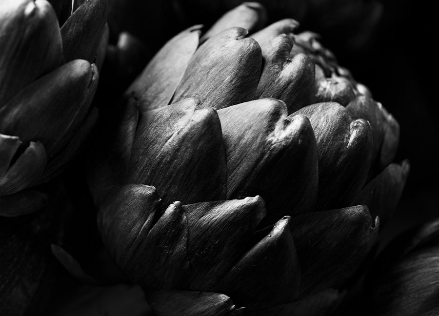 Poster - Cardoon