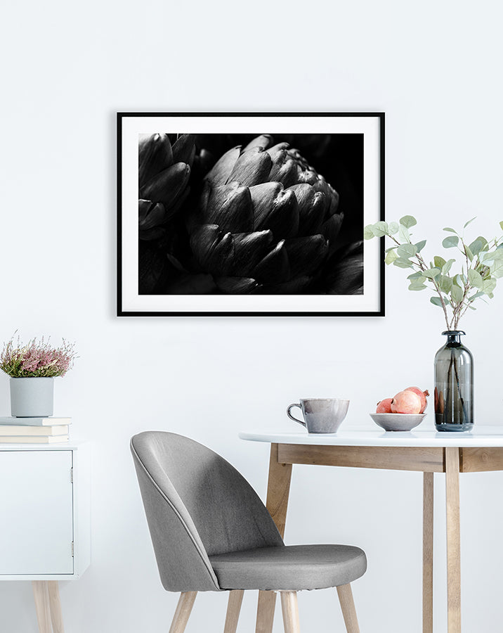 Poster - Cardoon