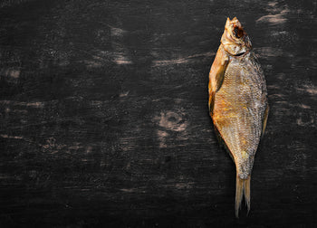 Poster - Fish