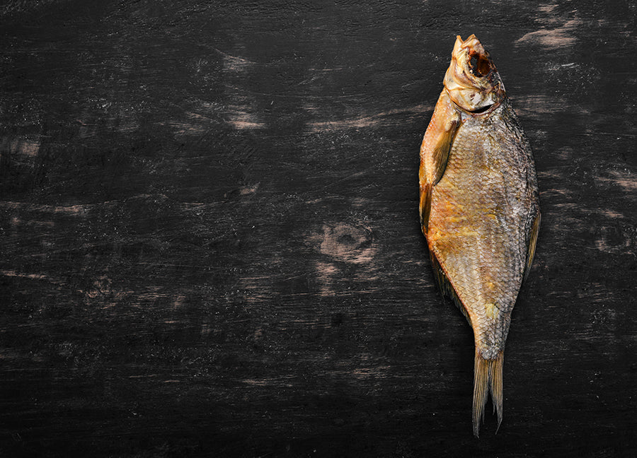 Poster - Fish