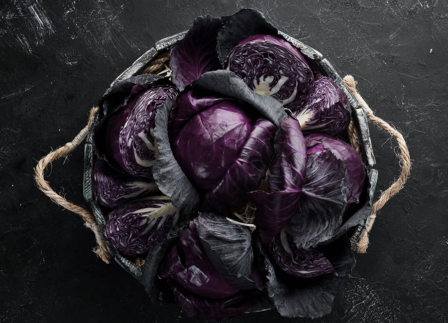 Poster - Cabbage