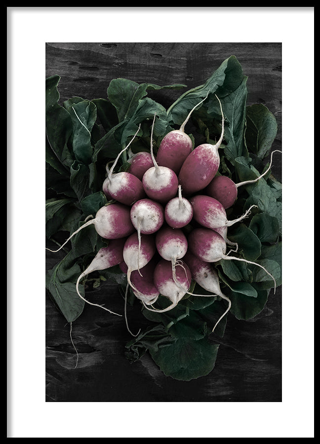 Poster - Radish