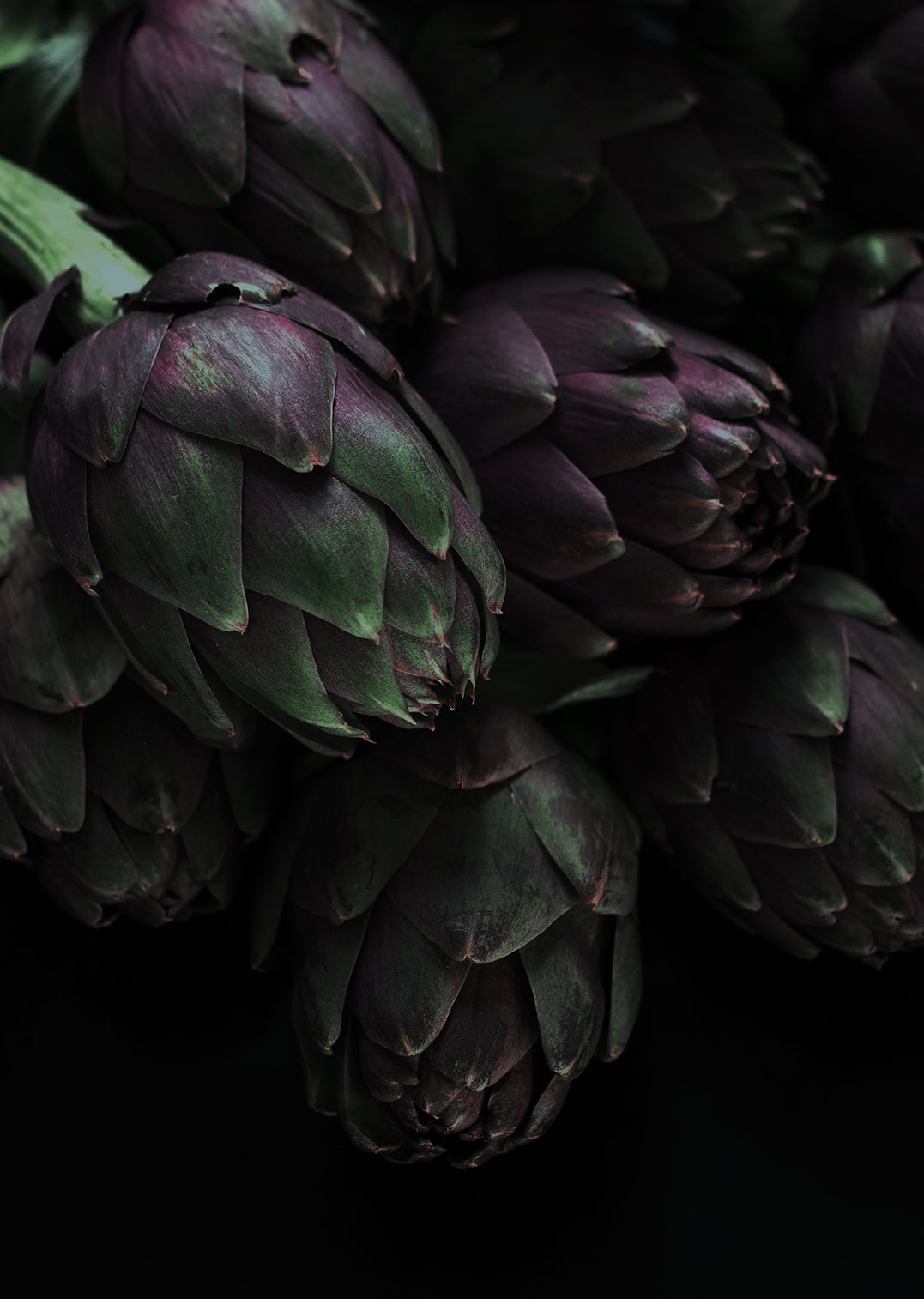 Canvastavla - Artichokes