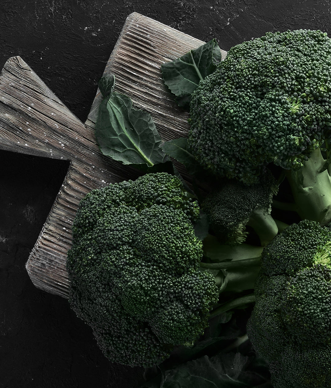 Canvastavla - Fresh Green Broccoli