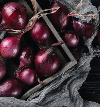 Canvastavla - Ripe onion