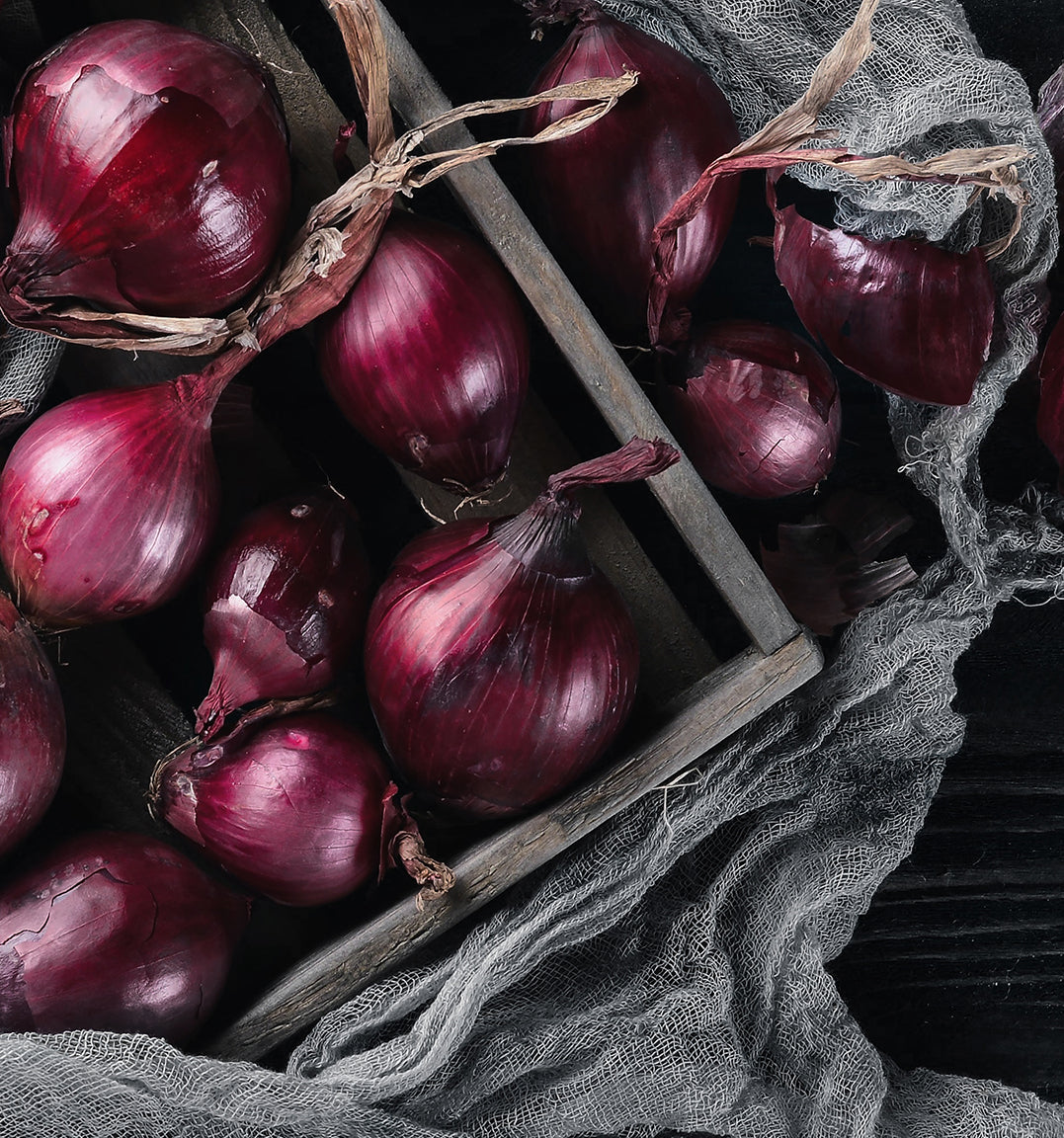 Canvastavla - Ripe onion
