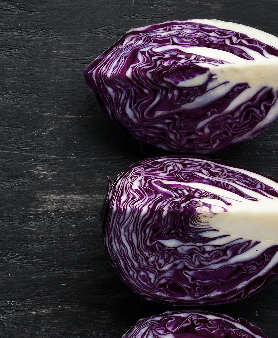 Canvastavla - Purple cabbage