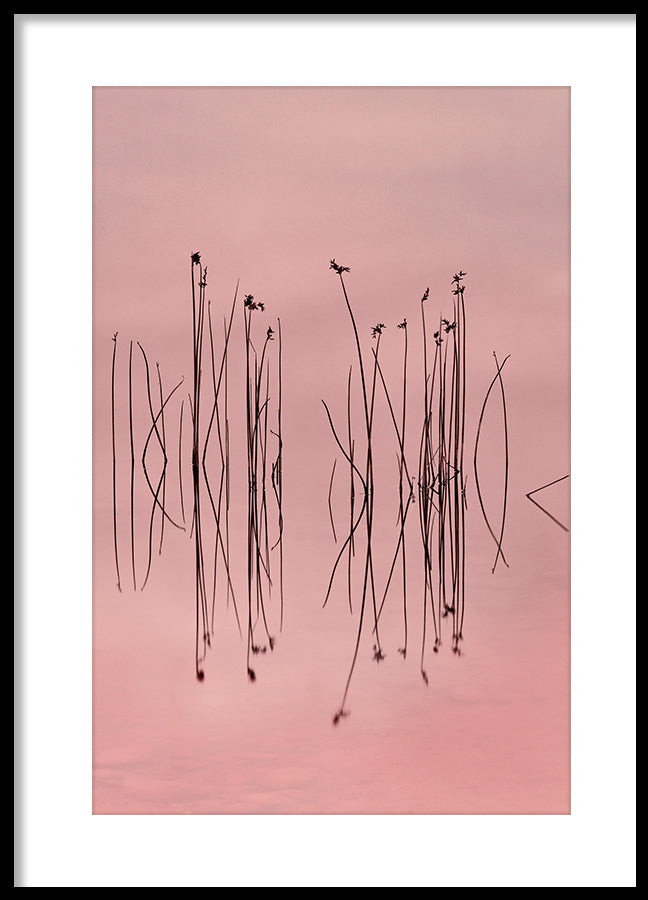 Poster - Pink Silence