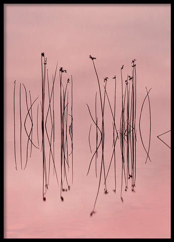 Poster - Pink Silence
