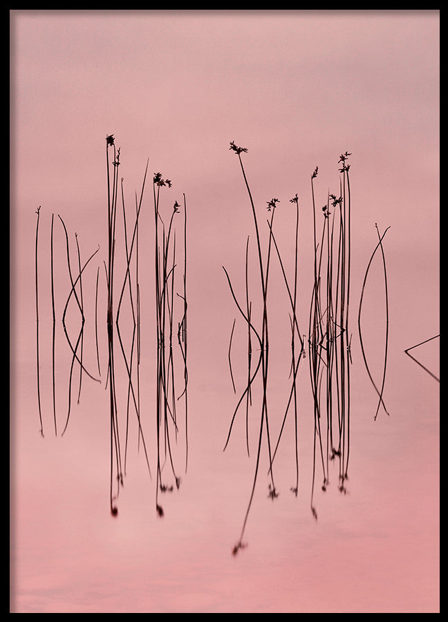 Poster - Pink Silence