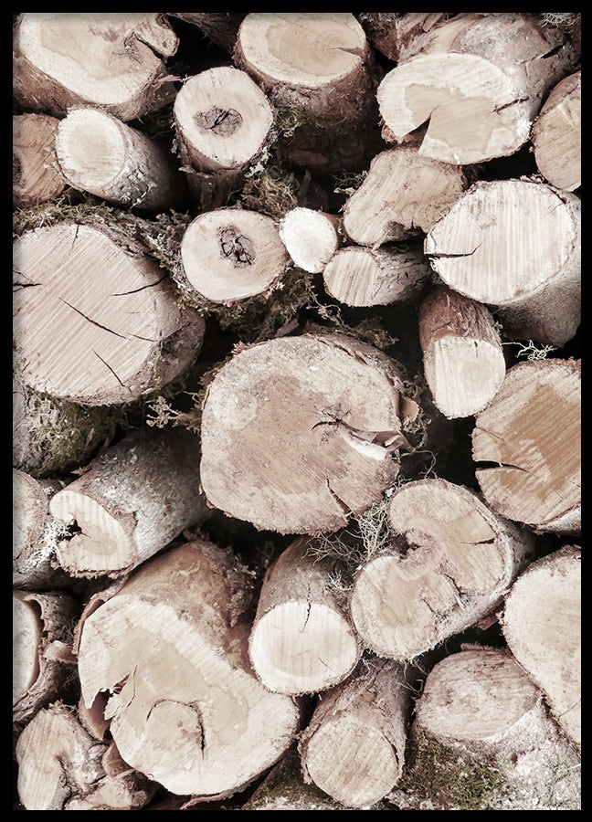 Poster - Oak