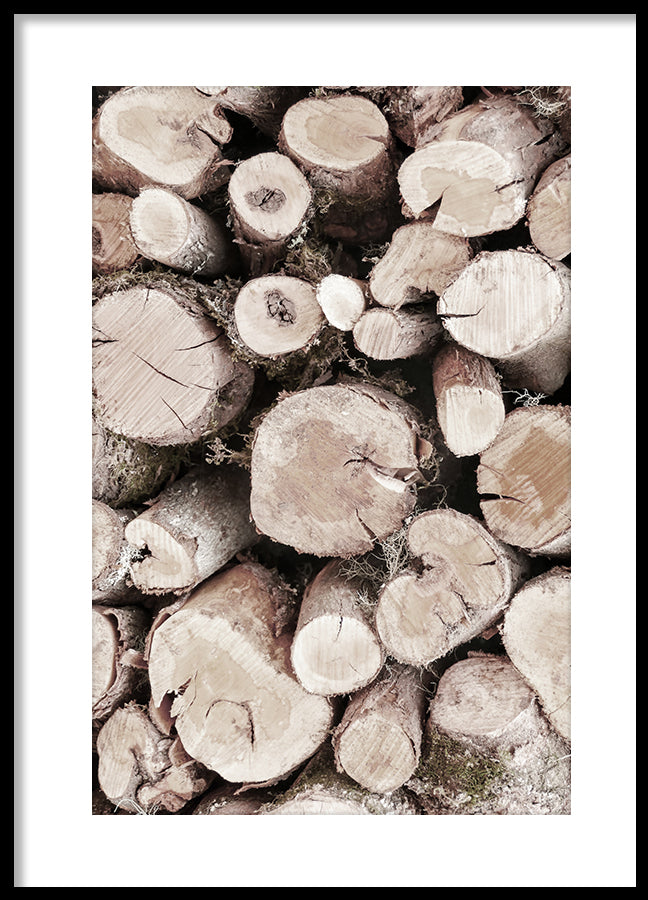Poster - Oak