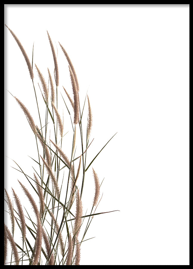 Poster - Rumput