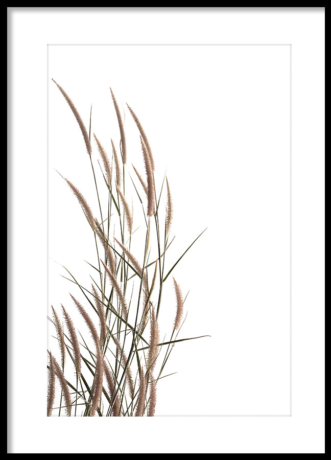 Poster - Rumput