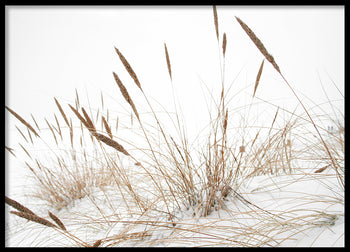 Poster - Baltic Sea