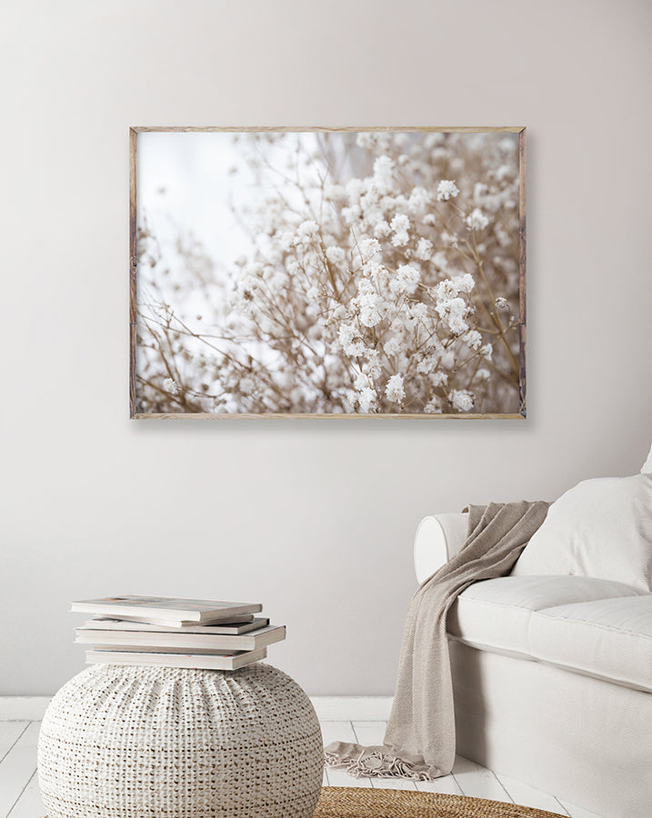 Poster - Dried flowers