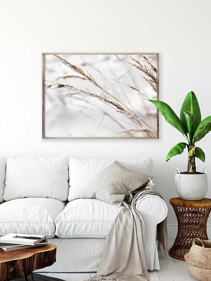 Poster - Grass in snow