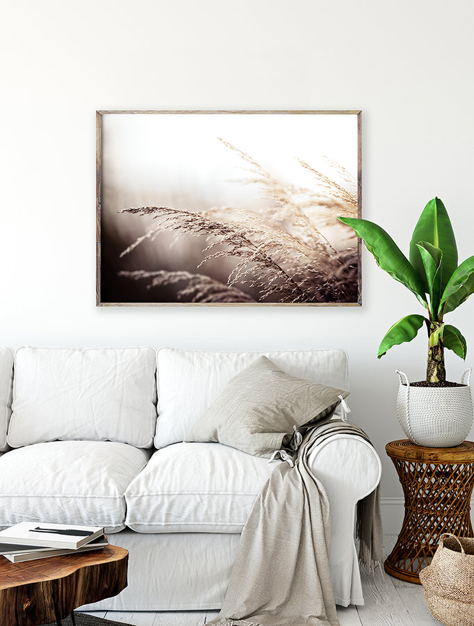 Poster - Beach grass