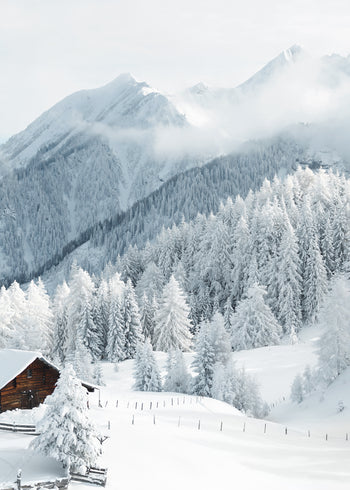 Canvastavla - Winter Fairy Tale