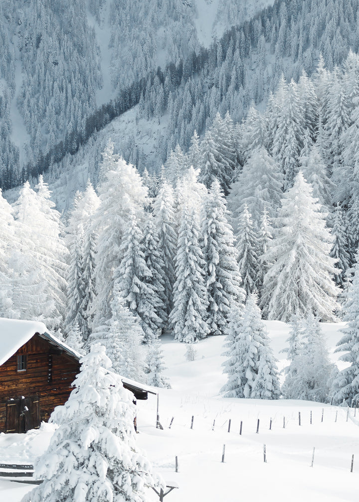 Canvastavla - Winter Fairy Tale