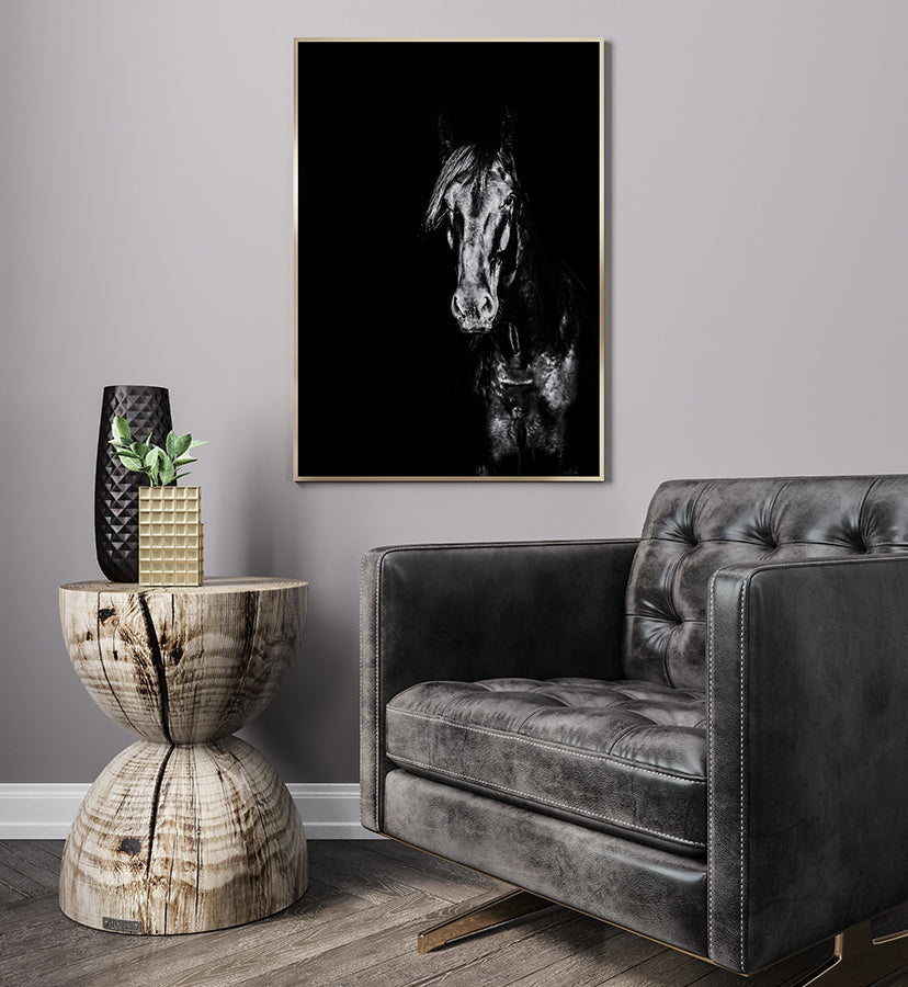 Poster - Stallion