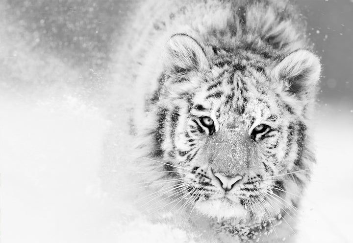 Canvastavla - Snow