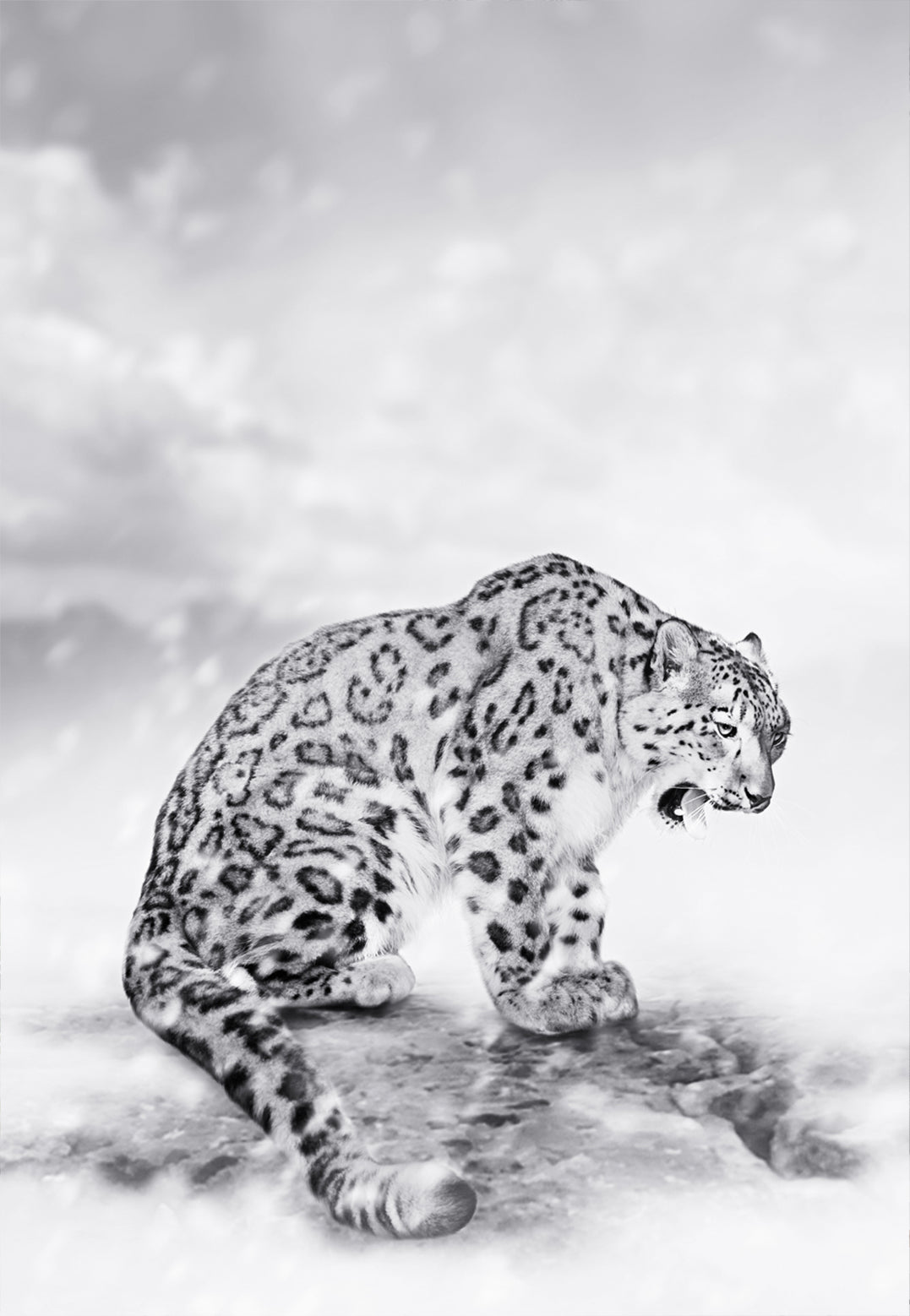 Canvastavla - Predator