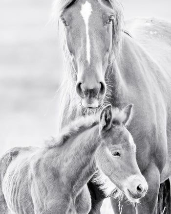Canvastavla - Father & Son