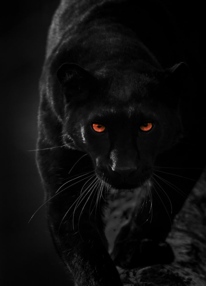 Canvastavla - Hunter