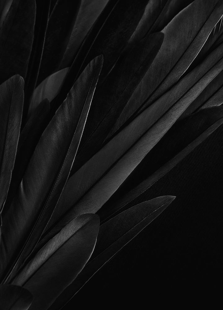Canvastavla - Quills