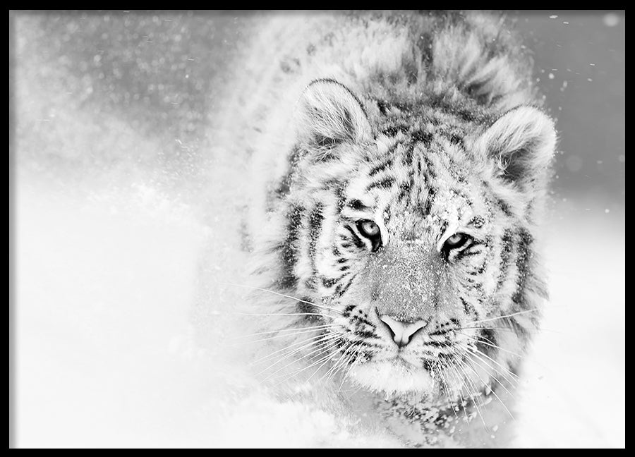 Poster - Snow