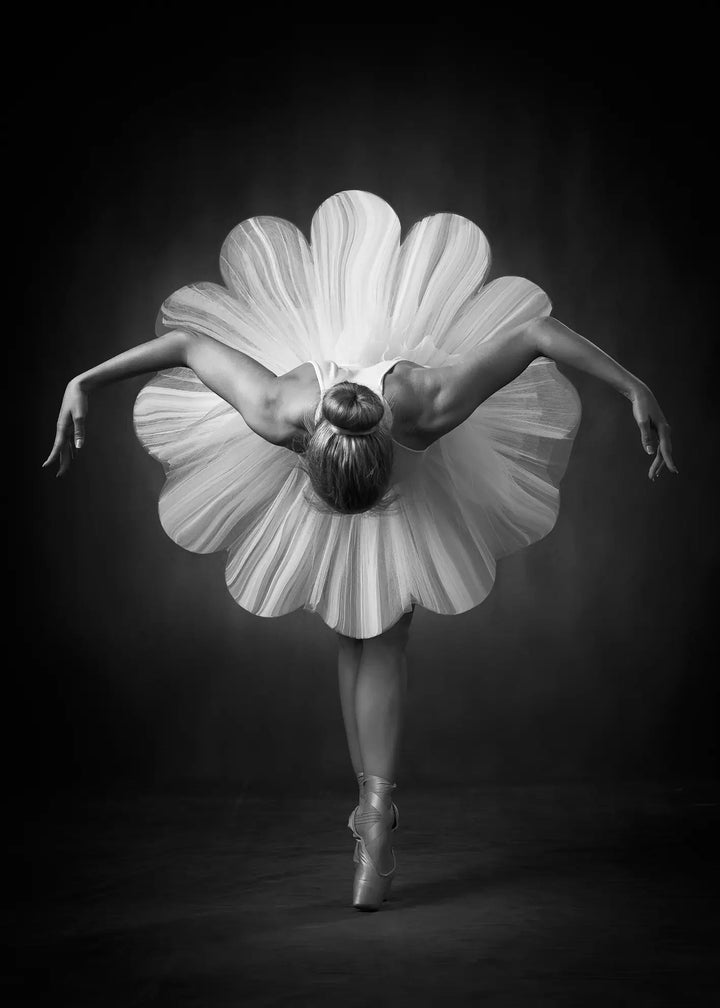 Canvastavla - Petals of Grace