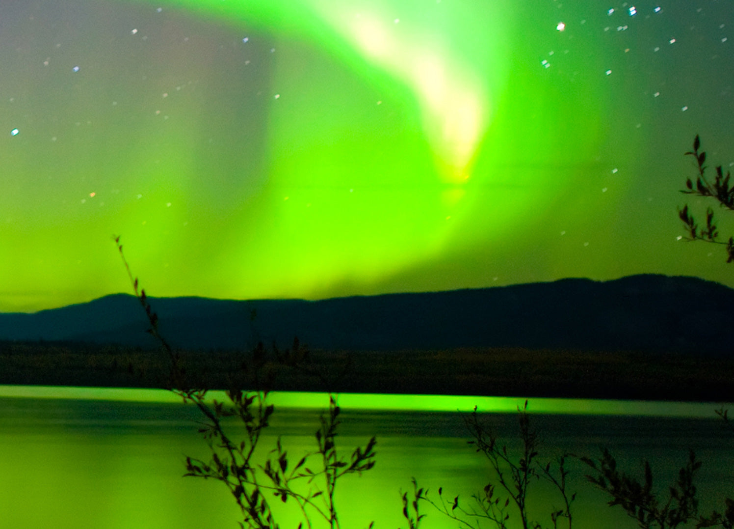 Canvastavla - Northern Lights