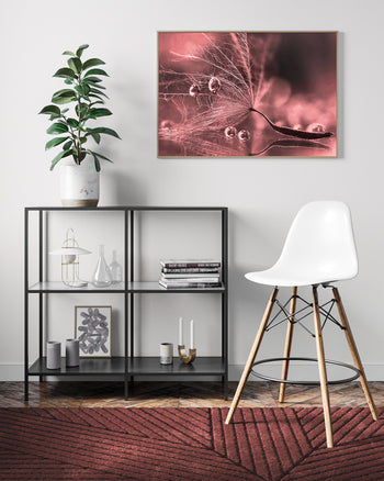Poster - Plume