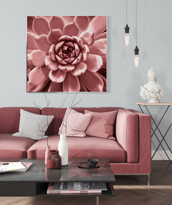 Poster - Aloe Pink