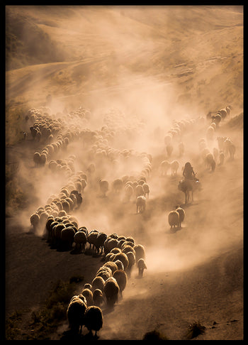 Poster - Walk in the Dawn
