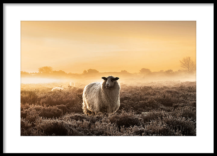 Poster - Autumn Morning