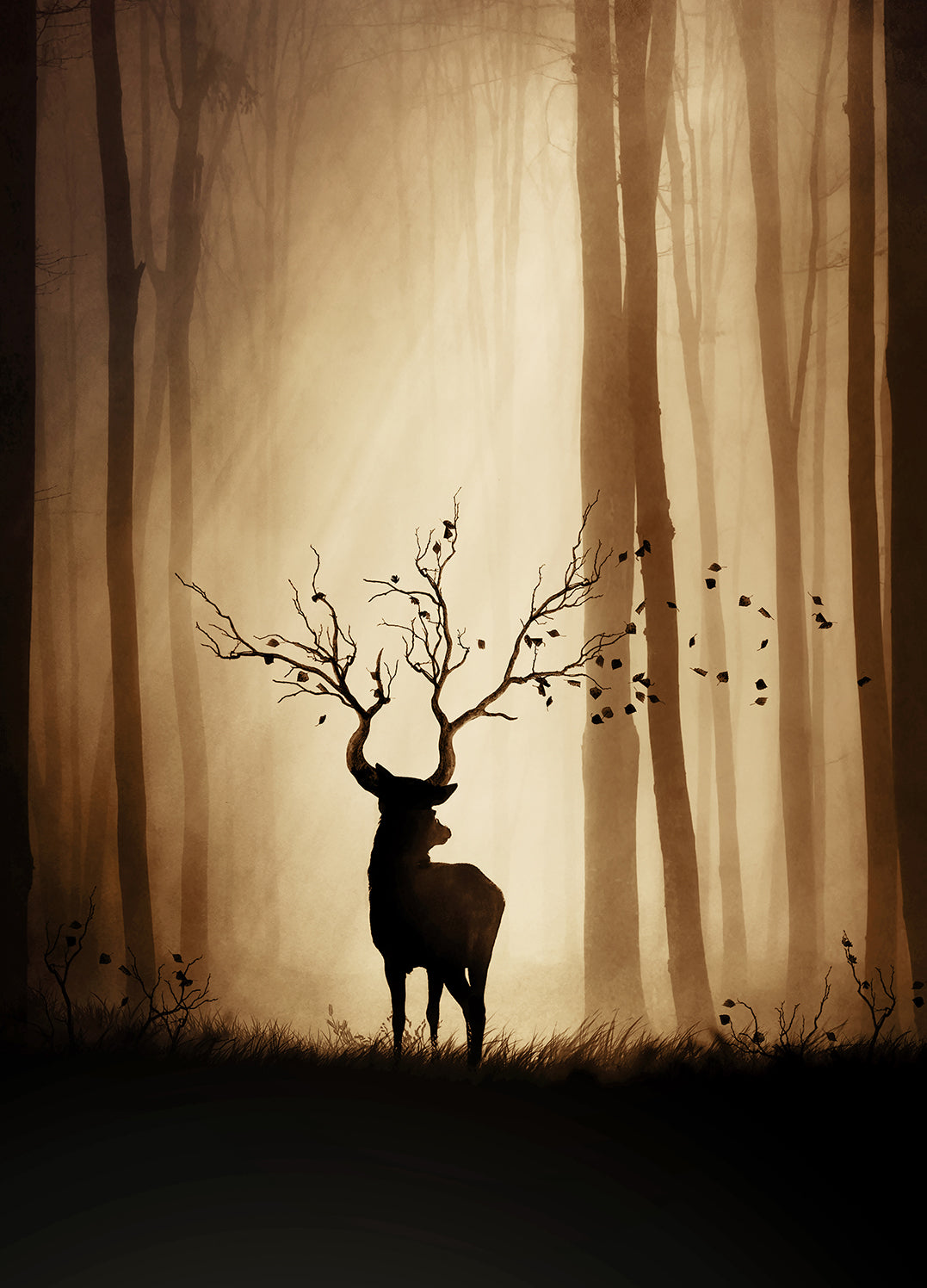 Tavla - Wild Forest King