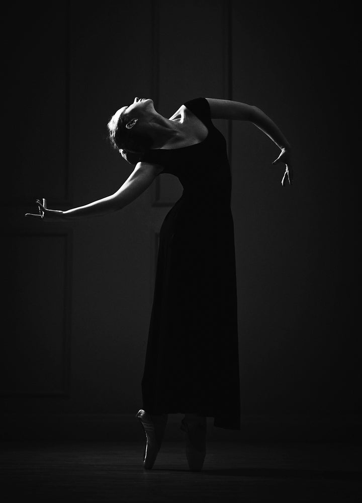 Canvastavla - Dancing in the Shadows