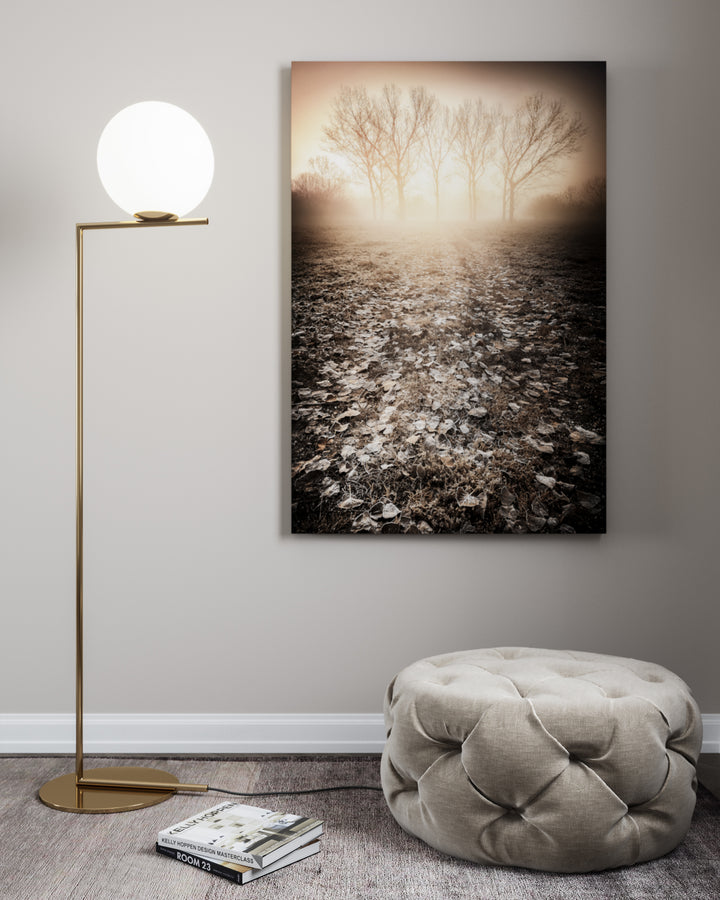 Poster - Frosty Morning