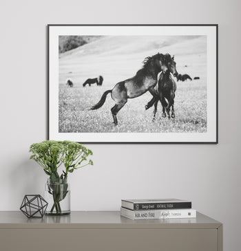 Poster - Spawning